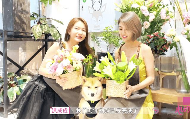 植物大战僵尸4